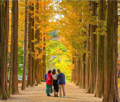 杭州道路養(yǎng)護(hù)之市政公司的黃金施工季 秋季.jpg